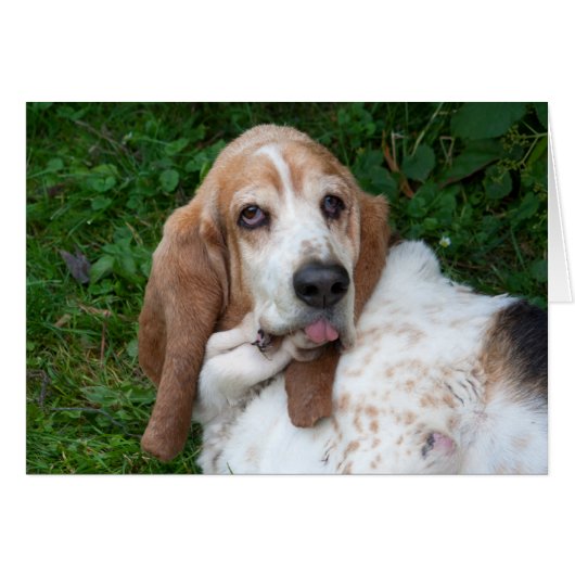 高齢者のバスセット (正面横)