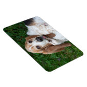 高齢者のバスセット マグネット (右側)