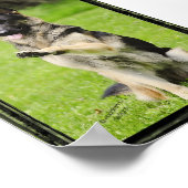 高5人のドイツの羊飼い ポスター (角)