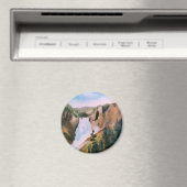 高IIマグネットの高騰 マグネット (インサイチュ (食洗機))