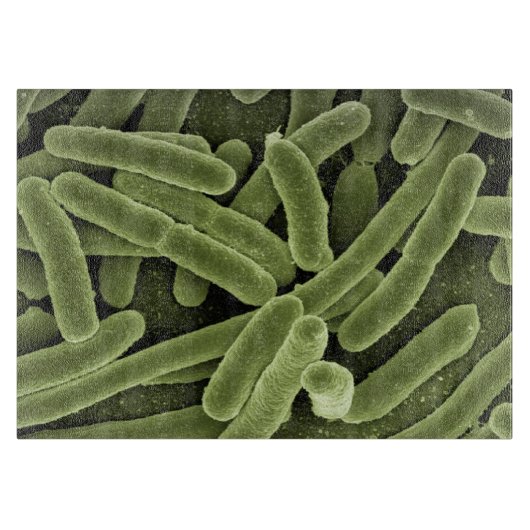 高res細菌のまな板 カッティングボード (正面)