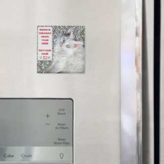 髪ではなく心からキンクを取り除く マグネット