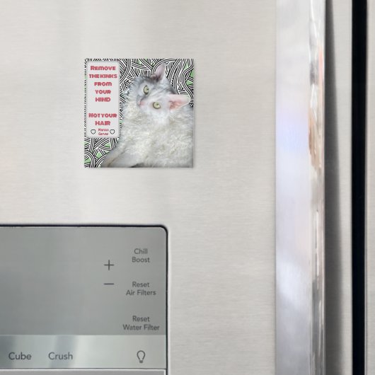 髪ではなく心からキンクを取り除く マグネット (インサイチュ (冷蔵庫))