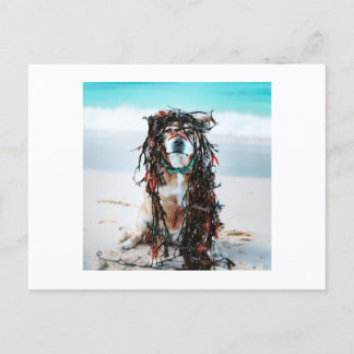 髪に海藻を入れた犬 シーズンポストカード