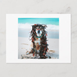 髪に海藻を入れた犬 シーズンポストカード