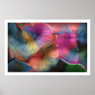 髪の色 ポスター