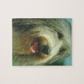 髭があるコリー犬のパズル ジグソーパズル (横)