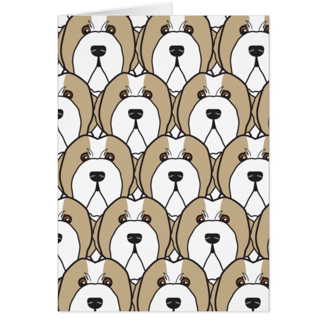 髭があるコリー (正面)