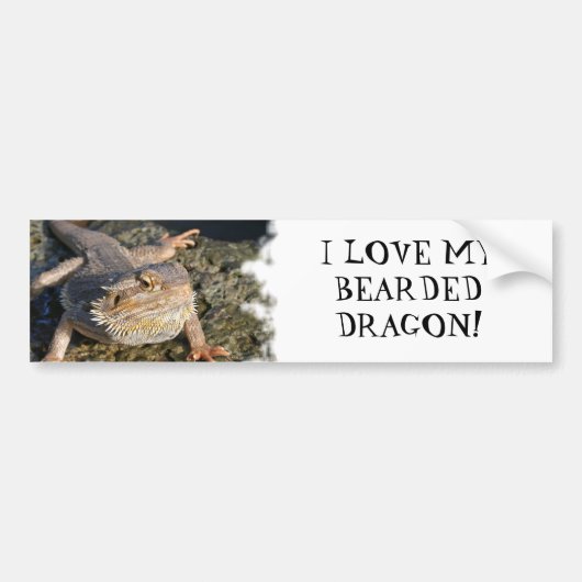 髭があるドラゴンシリーズ バンパーステッカー (正面)