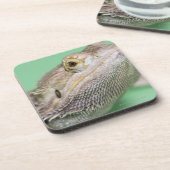 髭があるドラゴン2 コースター (左側)