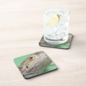 髭があるドラゴン2 コースター (右側)