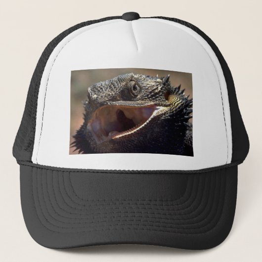 髭があるドラゴン、オーストラリア キャップ (正面)