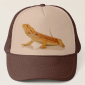 髭があるドラゴン キャップ (正面)