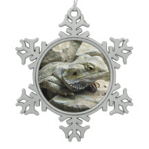 髭があるドラゴン