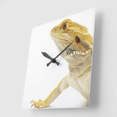 髭があるドラゴン(Pogona Vitticeps) スクエア壁時計 (傾斜)