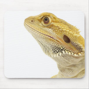 髭があるドラゴン(Pogona Vitticeps) マウスパッド