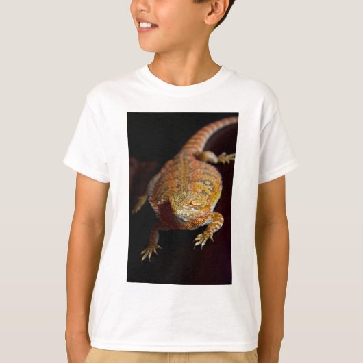 髭があるドラゴン Tシャツ (正面)