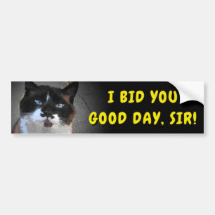 髭猫の入札よい日、Meme バンパーステッカー