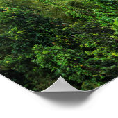 鬱蒼とした熱帯雨林とエル・ユンケの山頂 ポスター (角)