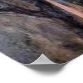 魂のバラまたは私の甘いバラ- 1908 ポスター (角)