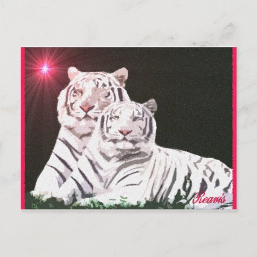 魂の友 ポストカード (正面)