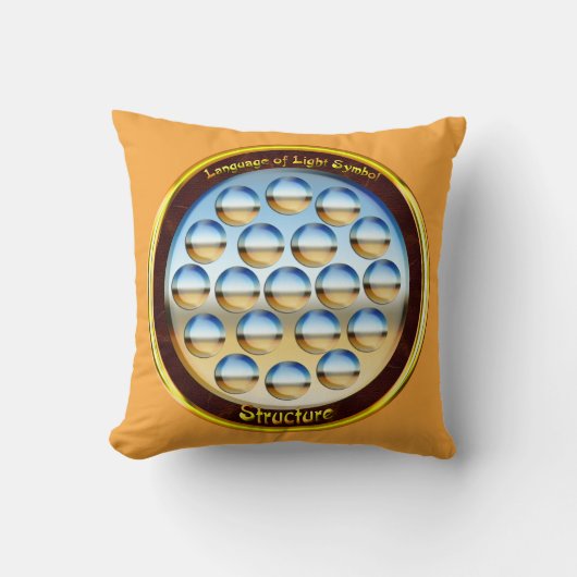 魂の構造の質 クッション (正面)