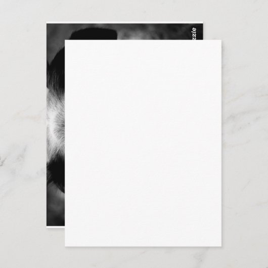 魂の目 ポストカード (正面/裏面)