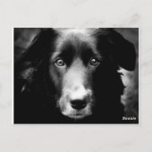 魂の目 ポストカード (裏面)