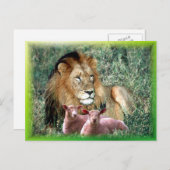 魂を癒す –  ポストカード (正面/裏面)