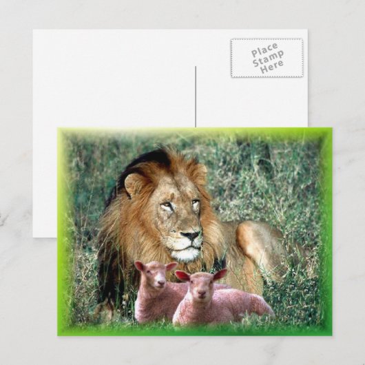 魂を癒す –  ポストカード (正面/裏面)