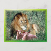 魂を癒す –  ポストカード (正面)