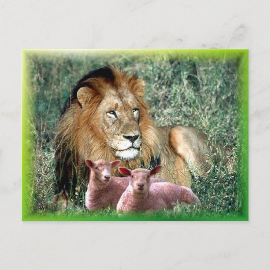 魂を癒す –  ポストカード (正面)