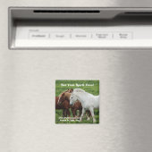 魂を解放しろ!マグネット マグネット (インサイチュ (食洗機))