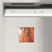 魂 – 馬 マグネット (インサイチュ (食洗機))