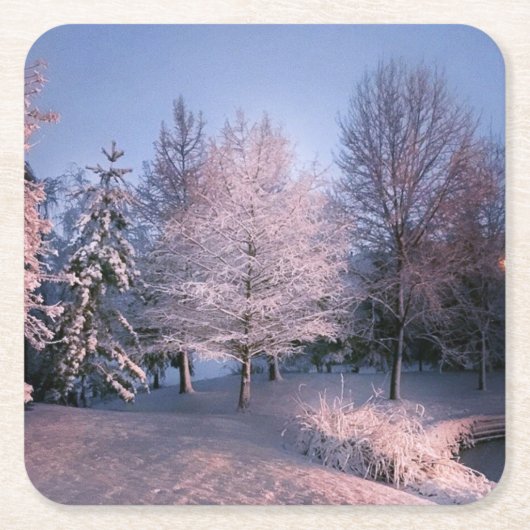 魅了された冬の不思議の国のコースター スクエアペーパーコースター (正面)