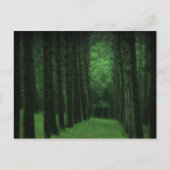 魅了された森林郵便はがき ポストカード (正面)