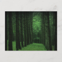 魅了された森林郵便はがき ポストカード