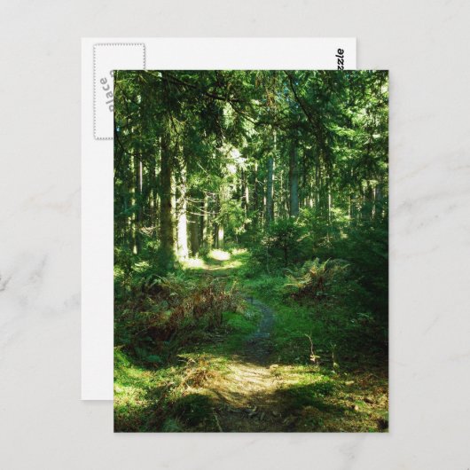 魅了された森林 ポストカード (正面/裏面)