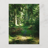 魅了された森林 ポストカード (正面)