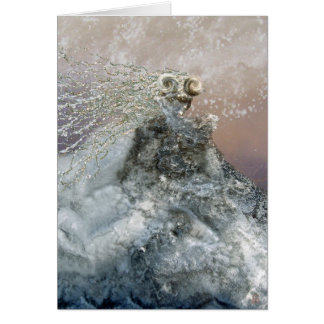 魅了された氷の娘