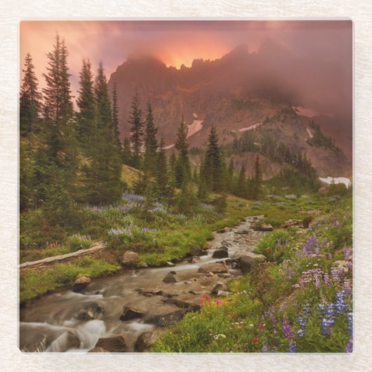 魅了された草原 ガラスコースター (正面)