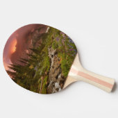 魅了された草原 卓球ラケット (横)