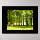 魅了された ポスター (正面)