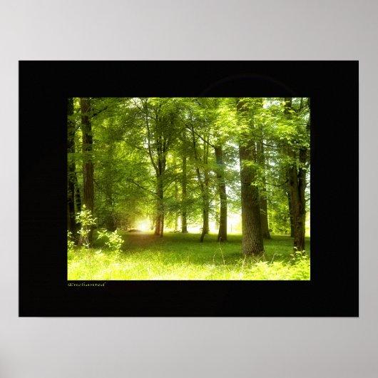 魅了された ポスター (正面)