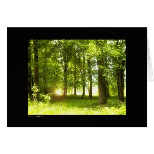 魅了される (正面横)