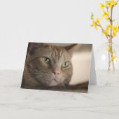 魅了される カード (黄色い花)