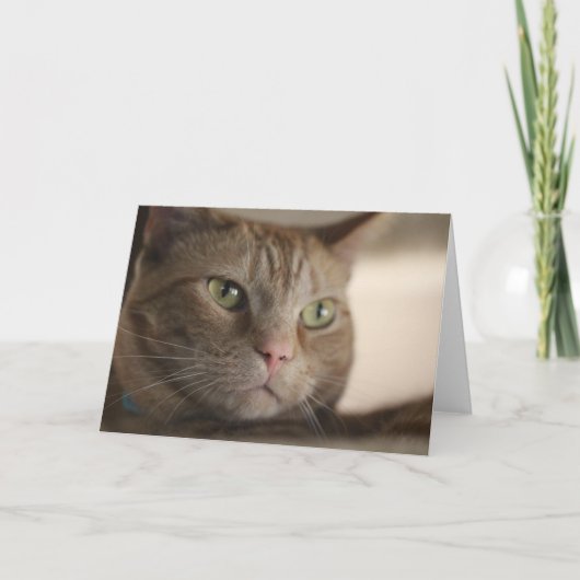 魅了される カード (正面)