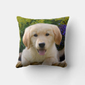 魅了のGoldieのかわいい子犬のポートレート、正方形 クッション (裏面)