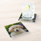 魅了のGoldie犬の子犬のかわいい写真、テーブル装飾 ガラスコースター (アングル)