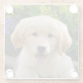 魅了のGoldie犬の子犬のかわいい写真、テーブル装飾 ガラスコースター (裏面)